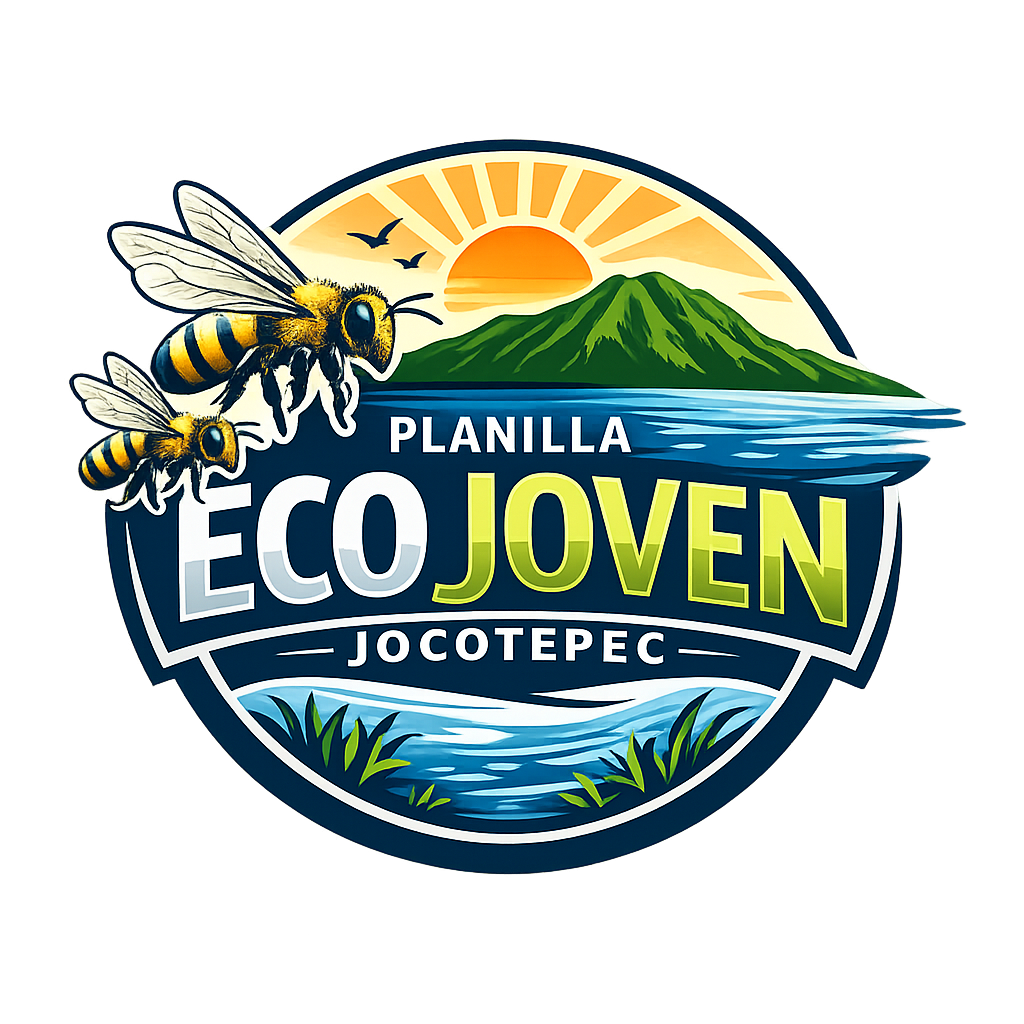 Planilla Eco joven